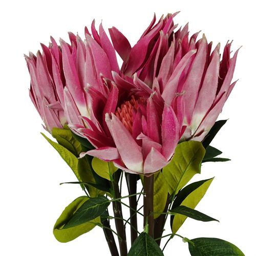 Vibrant 65cm Pink Protea Sugarbush Stem - Realistic Silk Flower Décor - plants - express.com