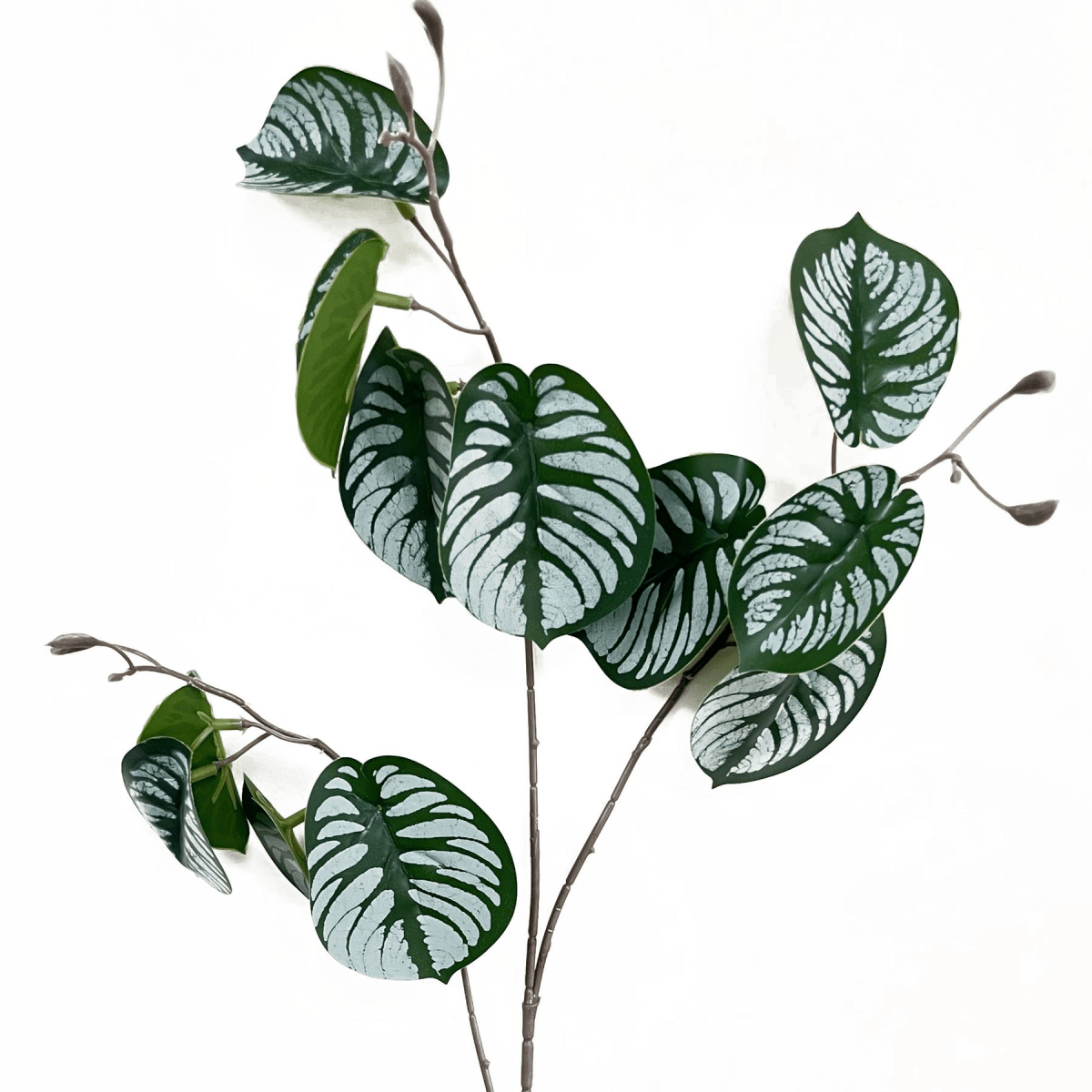 Vibrant 70cm Realistic Artificial Zebra Foliage – No Maintenance Decor - plants - express.com