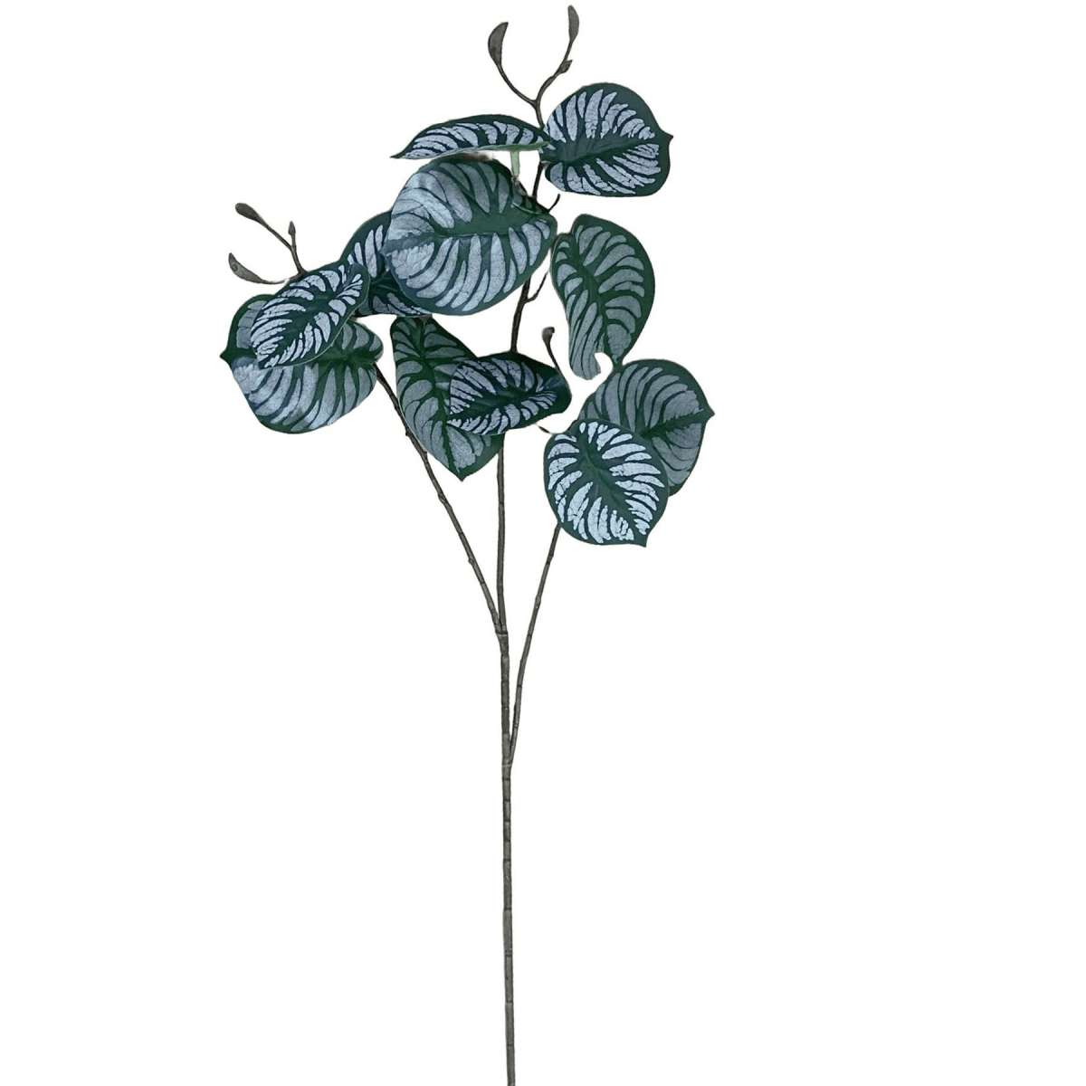 Vibrant 70cm Realistic Artificial Zebra Foliage – No Maintenance Decor - plants - express.com