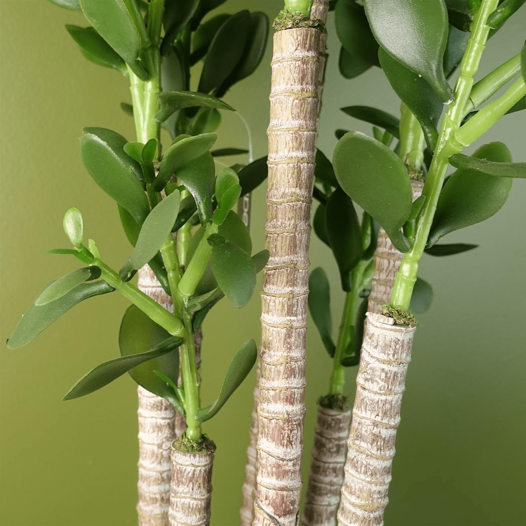 Vibrant 75cm Faux Green Jade Plant - Realistic Decor for Modern Spaces - plants - express.com