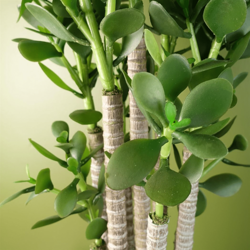 Vibrant 75cm Faux Green Jade Plant - Realistic Decor for Modern Spaces - plants - express.com