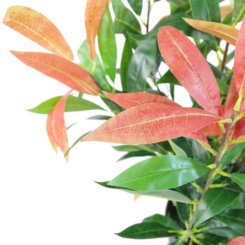 Vibrant 80cm Faux Ficus Plant - Lush Red & Green Foliage for Stunning Decor - plants - express.com