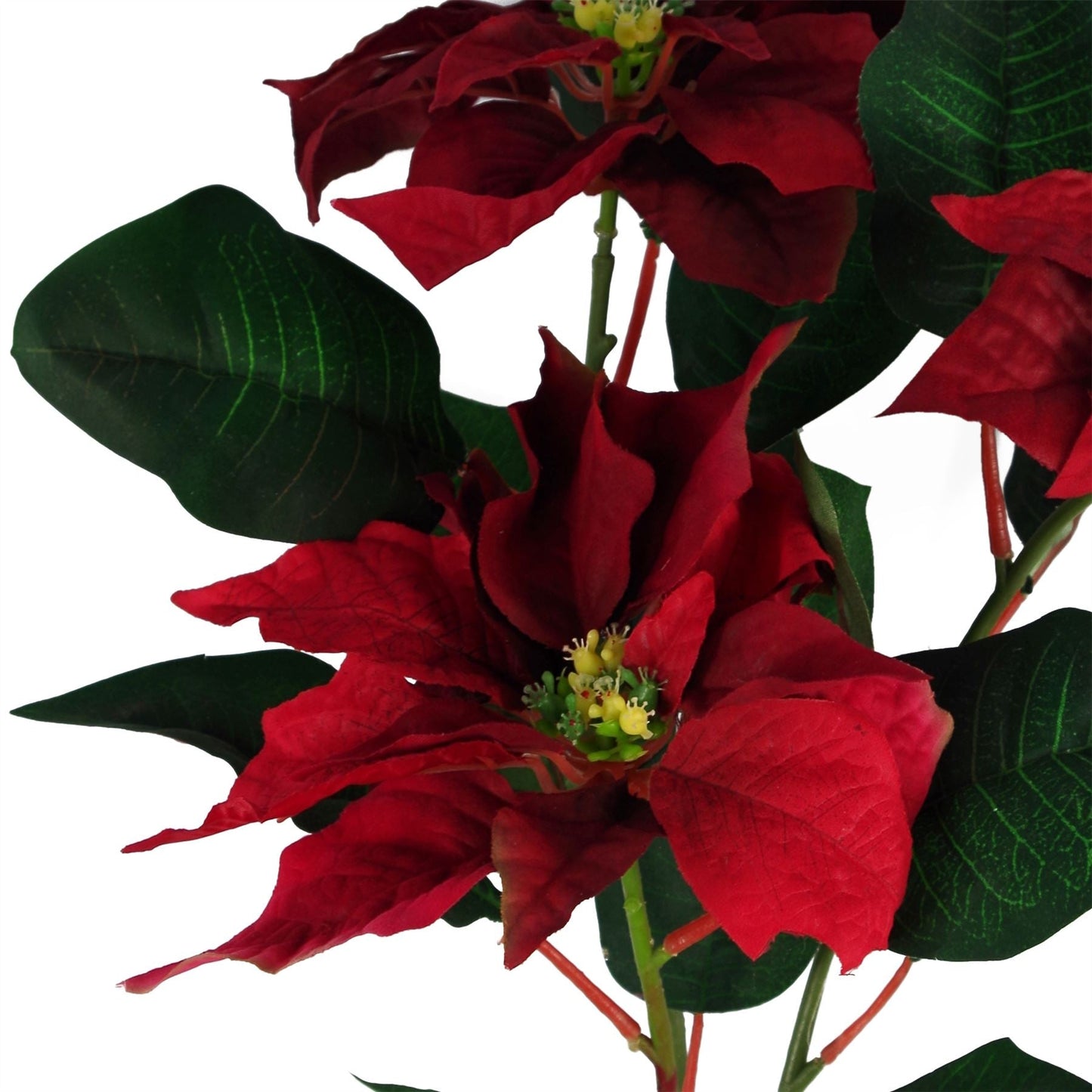 Vibrant Large Flowering Artificial Plants for Home & Office Décor - plants - express.com