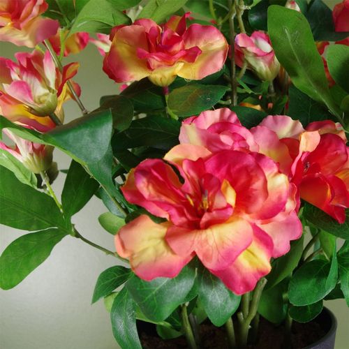 Vibrant Orange Artificial Rhododendron Potted Plant - Realistic Floral Décor - plants - express.com