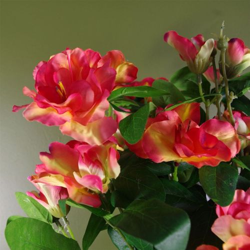 Vibrant Orange Artificial Rhododendron Potted Plant - Realistic Floral Décor - plants - express.com