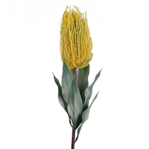 Vibrant Pack of 6 75cm Artificial Yellow Banksia Menziesii Flower Stems - plants - express.com