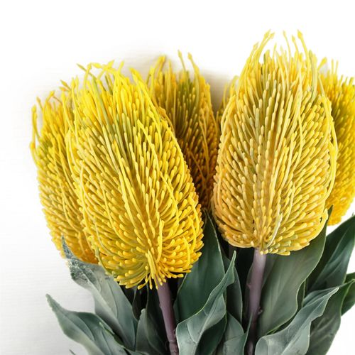 Vibrant Pack of 6 75cm Artificial Yellow Banksia Menziesii Flower Stems - plants - express.com