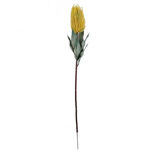 Vibrant Pack of 6 75cm Artificial Yellow Banksia Menziesii Flower Stems - plants - express.com