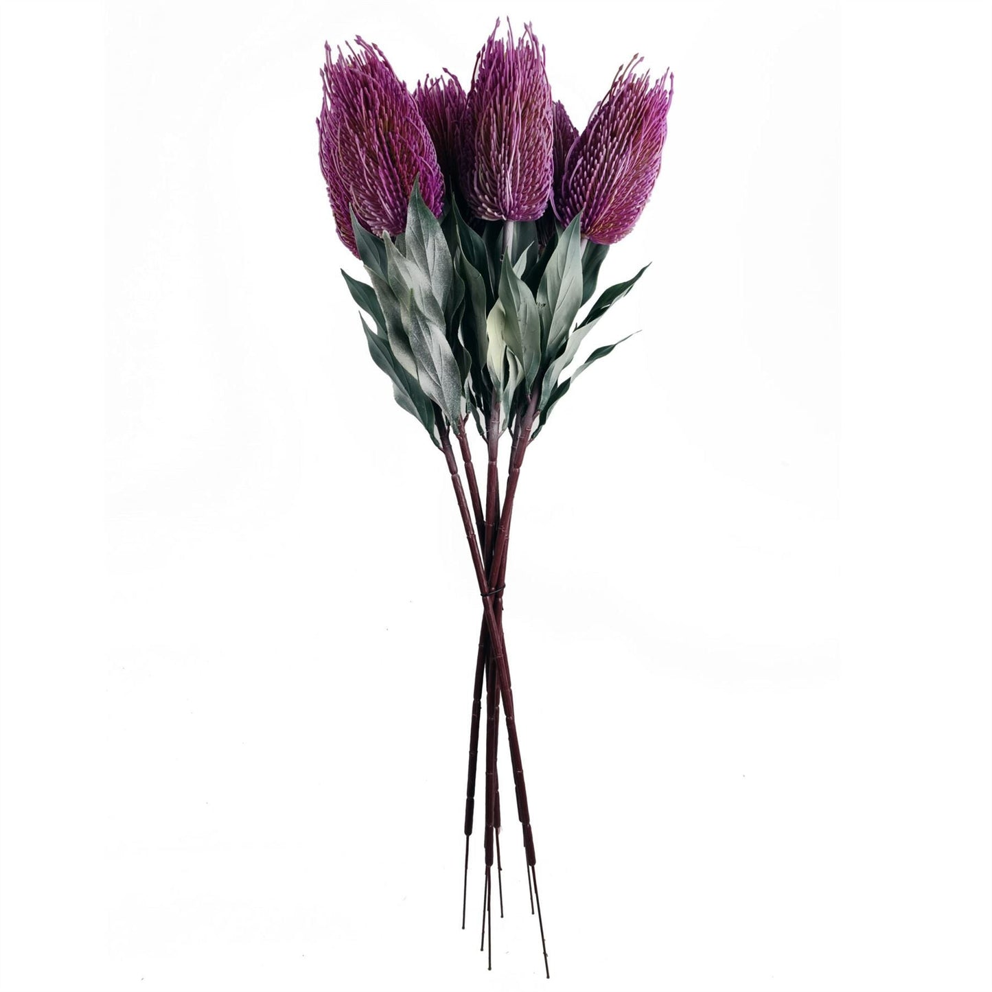 Vibrant Pack of 6 Artificial 75cm Pink Banksia Menziesii Flower Stems - plants - express.com