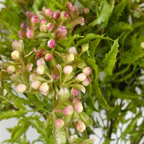 Vibrant Pack of 6 Faux Foliage Stems with Charming Pink Berries - plants - express.com