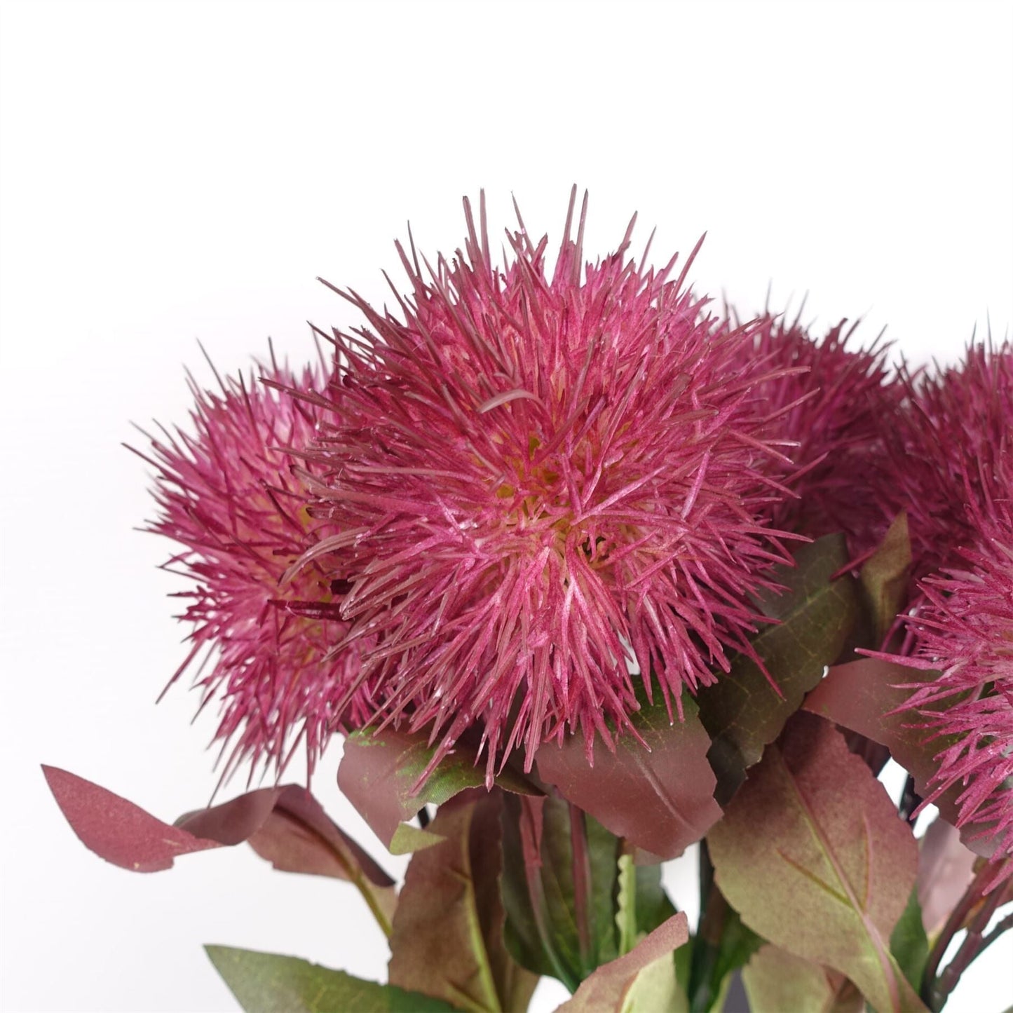 Vibrant Pack of 6 Purple Globe Thistle Stems for Stunning Arrangements! - plants - express.com