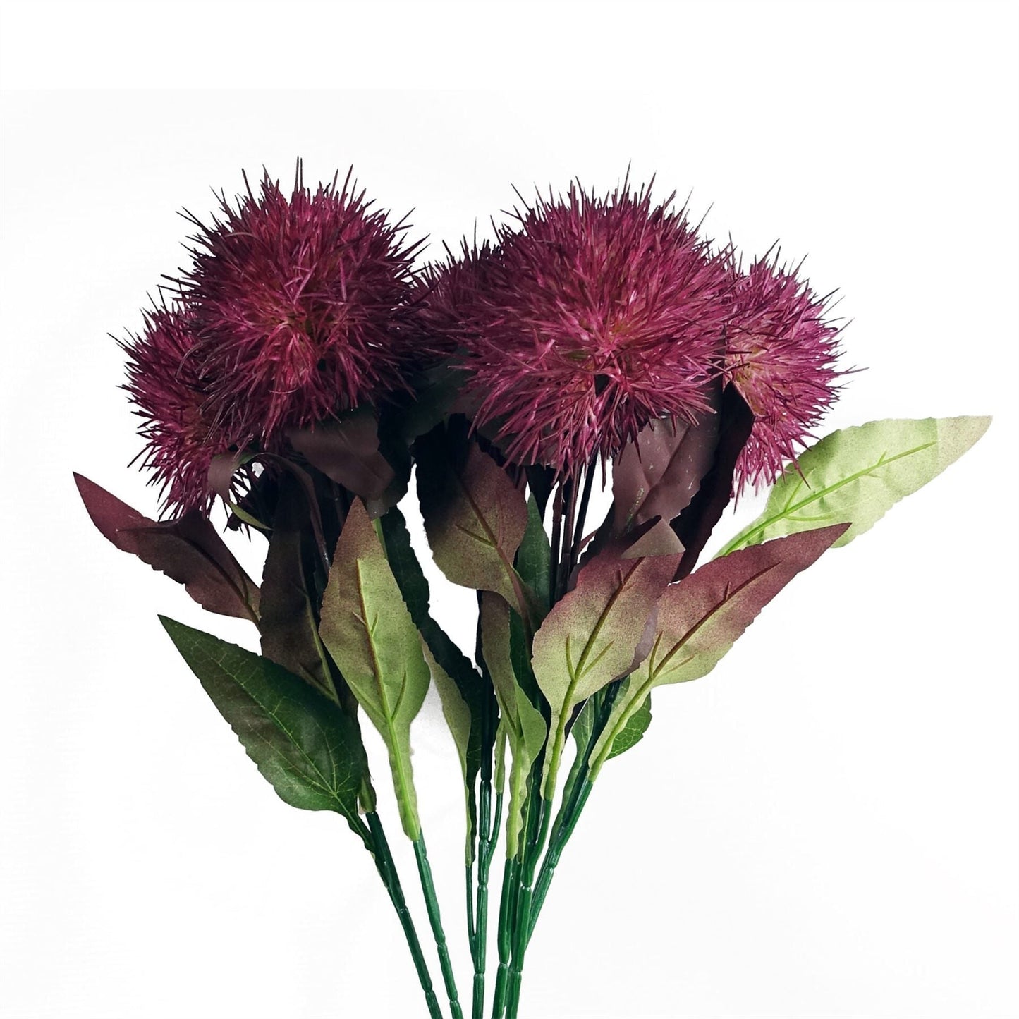 Vibrant Pack of 6 Purple Globe Thistle Stems for Stunning Arrangements! - plants - express.com