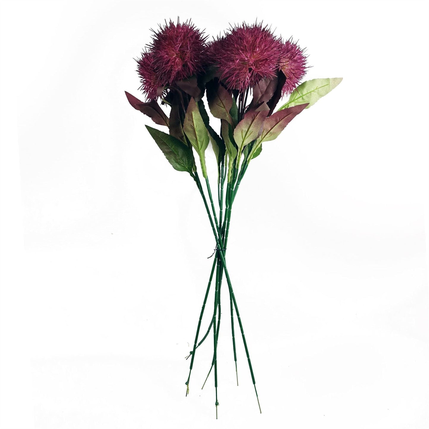 Vibrant Pack of 6 Purple Globe Thistle Stems for Stunning Arrangements! - plants - express.com