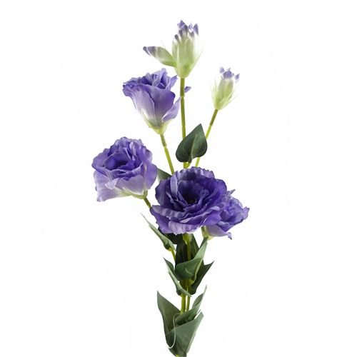 Vibrant Pack of 6 Purple Wild Rose Stems - 36 Beautiful Silk Flowers! - plants - express.com