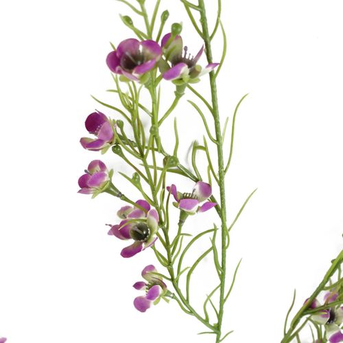Vibrant Purple Artificial Flower Stems - Pack of 6, 100cm Beautiful Decor - plants - express.com