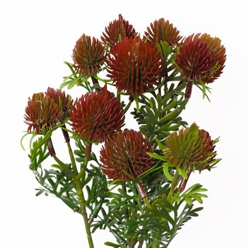Vibrant Red Craspedia Stems - Pack of 6 Artificial Floral Accents (55cm) - plants - express.com