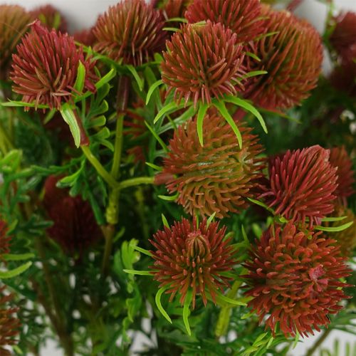 Vibrant Red Craspedia Stems - Pack of 6 Artificial Floral Accents (55cm) - plants - express.com