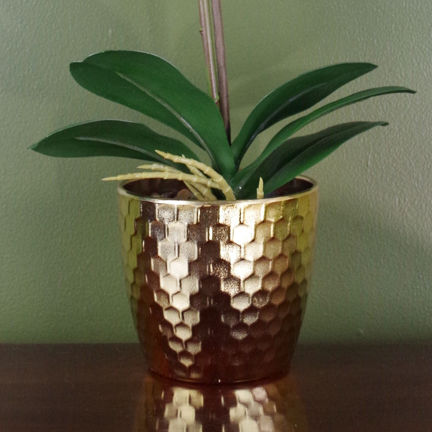 Vibrant Red Leopard Phalaenopsis Orchid in Elegant Gold Pot - 50cm Charm! - plants - express.com