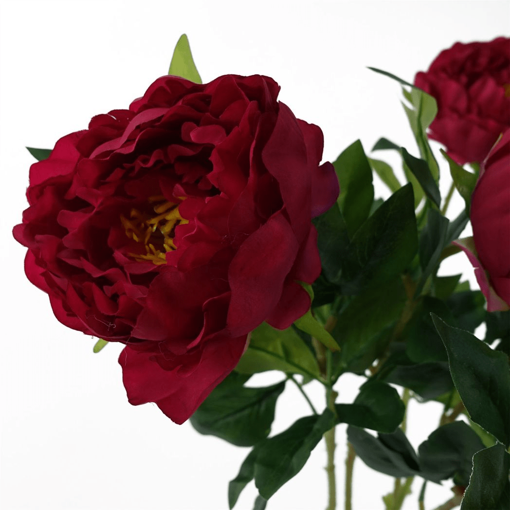 Vibrant Set of 6 Dark Pink Peony Stems - 80cm Silk Floral Elegance - plants - express.com