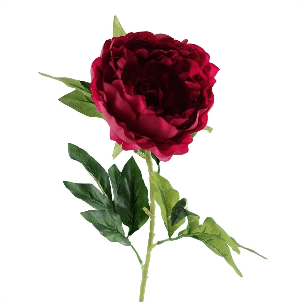 Vibrant Set of 6 Dark Pink Peony Stems - 80cm Silk Floral Elegance - plants - express.com