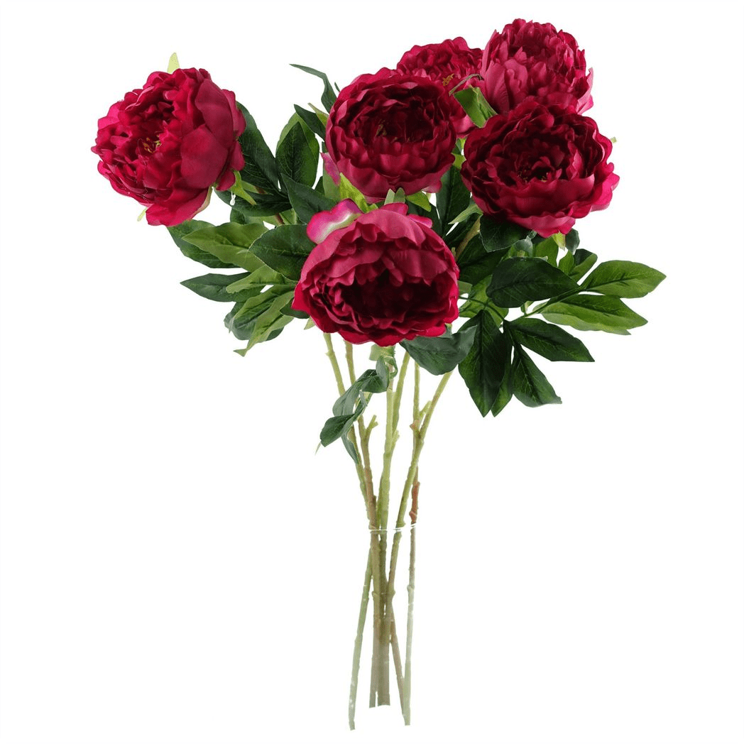 Vibrant Set of 6 Dark Pink Peony Stems - 80cm Silk Floral Elegance - plants - express.com