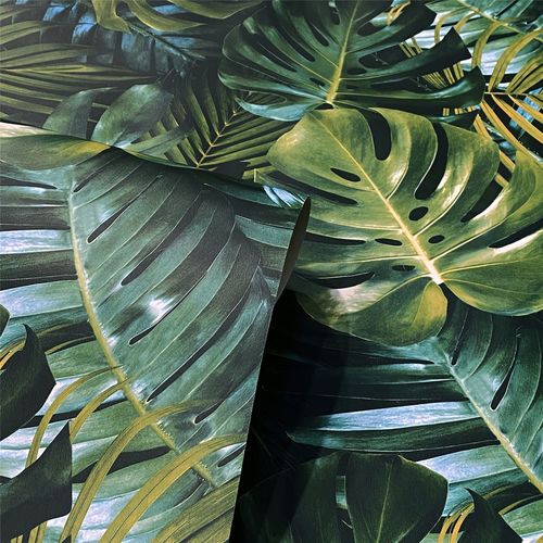 Vibrant Tropical Foliage Living Wall Wallpaper - Embrace Nature Indoors! - plants - express.com