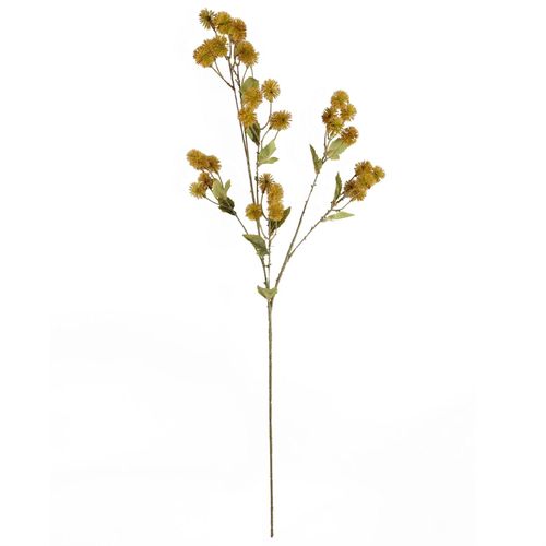 Vibrant Yellow Craspedia Stems - Pack of 6 Whimsical Floral Accents - plants - express.com