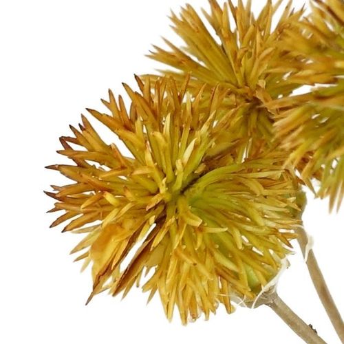 Vibrant Yellow Craspedia Stems - Pack of 6 Whimsical Floral Accents - plants - express.com