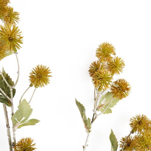 Vibrant Yellow Craspedia Stems - Pack of 6 Whimsical Floral Accents - plants - express.com