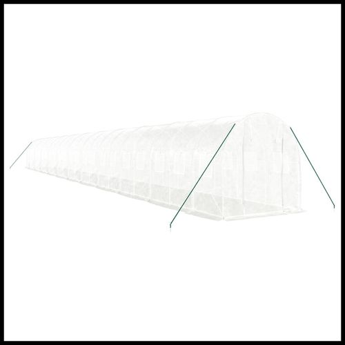 vidaXL 4m² Greenhouse - Durable Steel Frame for Hobby Gardening Enthusiasts - plants - express.com