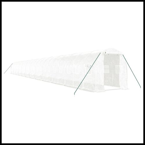 vidaXL 4m² Greenhouse - Durable Steel Frame for Hobby Gardening Enthusiasts - plants - express.com