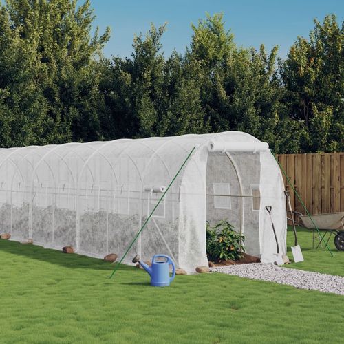 vidaXL 4m² Greenhouse - Durable Steel Frame for Hobby Gardening Enthusiasts - plants - express.com