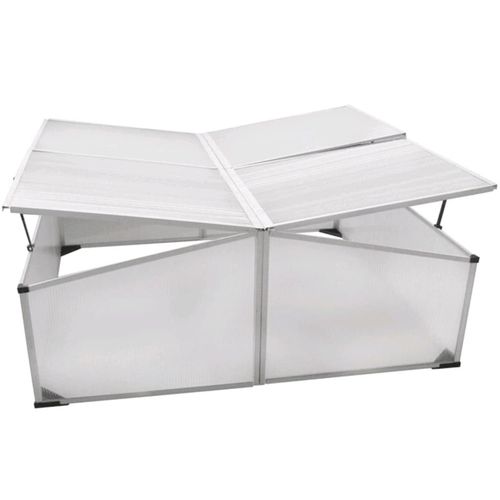 vidaXL UV - Resistant Cold Frame with Twin Lids - Perfect for Gardening - plants - express.com
