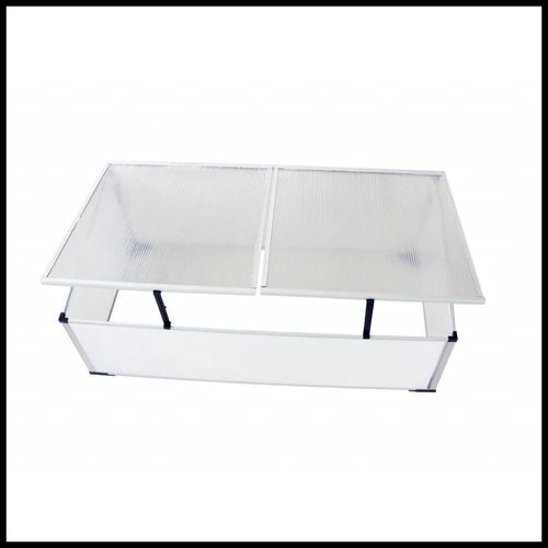 vidaXL UV - Resistant Cold Frame with Twin Lids - Perfect for Gardening - plants - express.com