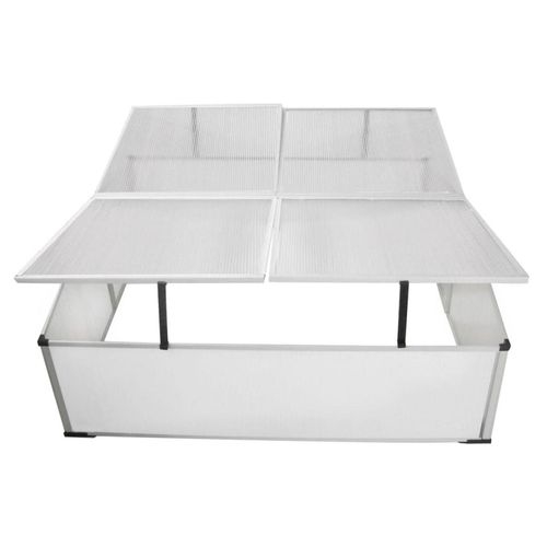 vidaXL UV - Resistant Cold Frame with Twin Lids - Perfect for Gardening - plants - express.com