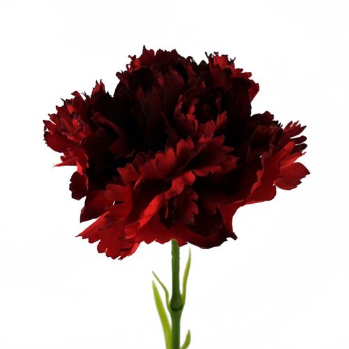 Vivid Red Carnation Artificial Flowers - Set of 12 for Stunning Arrangements! - plants - express.com