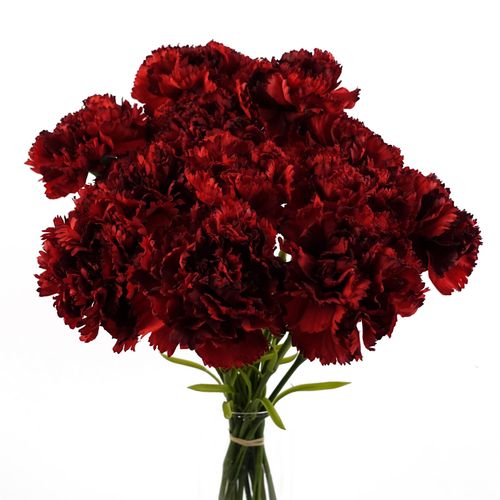 Vivid Red Carnation Artificial Flowers - Set of 12 for Stunning Arrangements! - plants - express.com