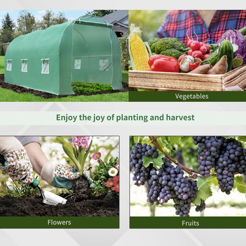 Walk - In Greenhouse Tunnel – Rounded Polytunnel for Gardening - plants - express.com