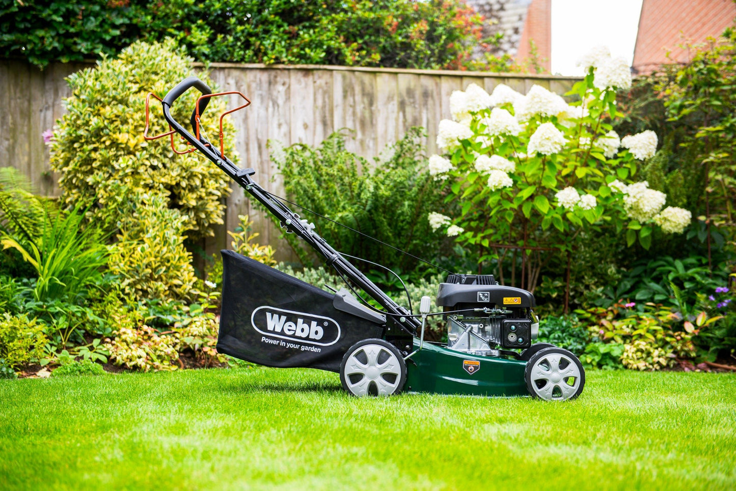 Webb Classic 41cm (16") Self Propelled Petrol Rotary Lawnmower - plants - express.com