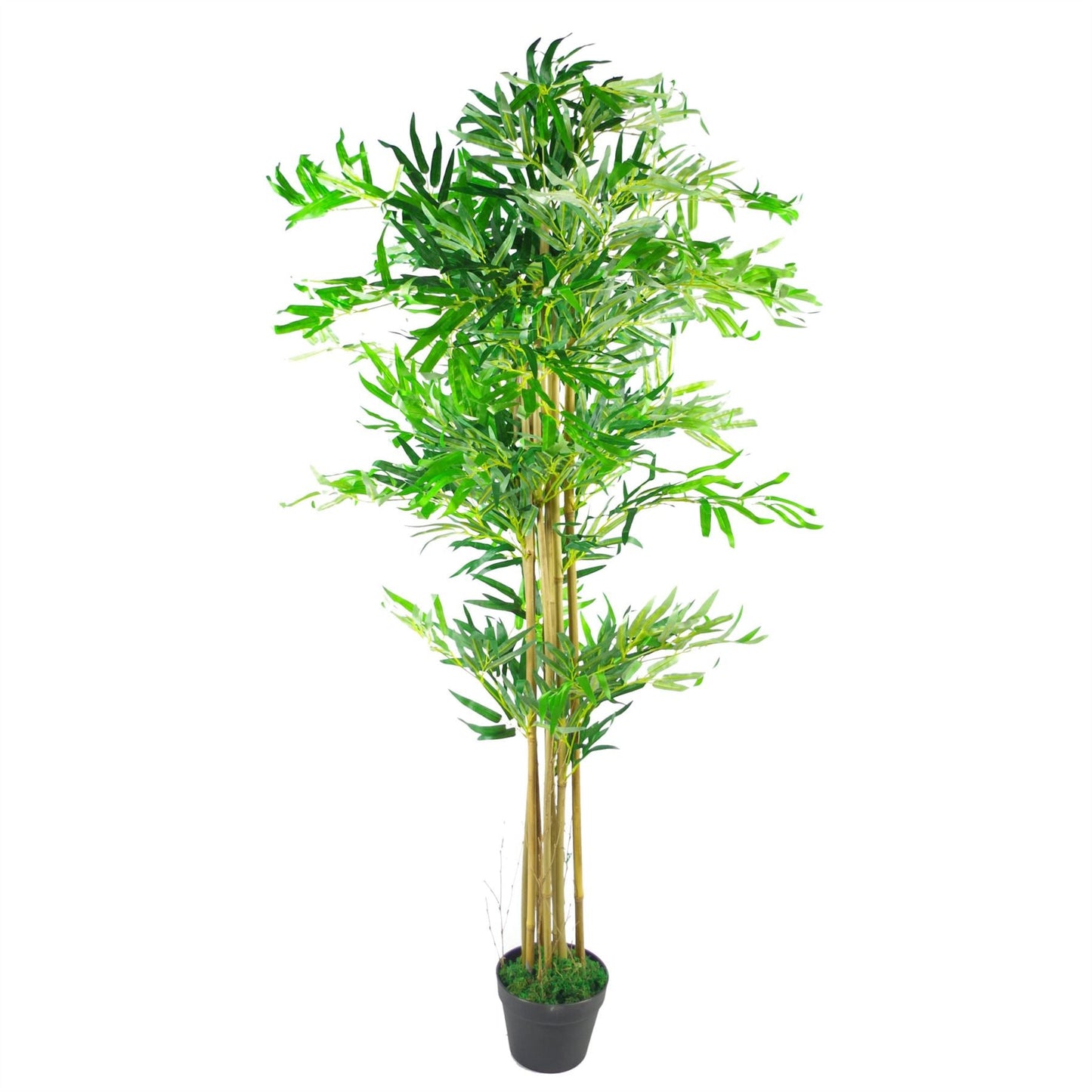 XL 150cm Realistic Artificial Bamboo Tree with Stylish Silver Metal Planter - plants - express.com