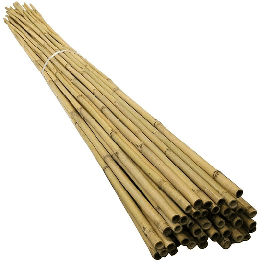 10 x 4FT Bamboo Canes Sticks 120cm - plants - express.com