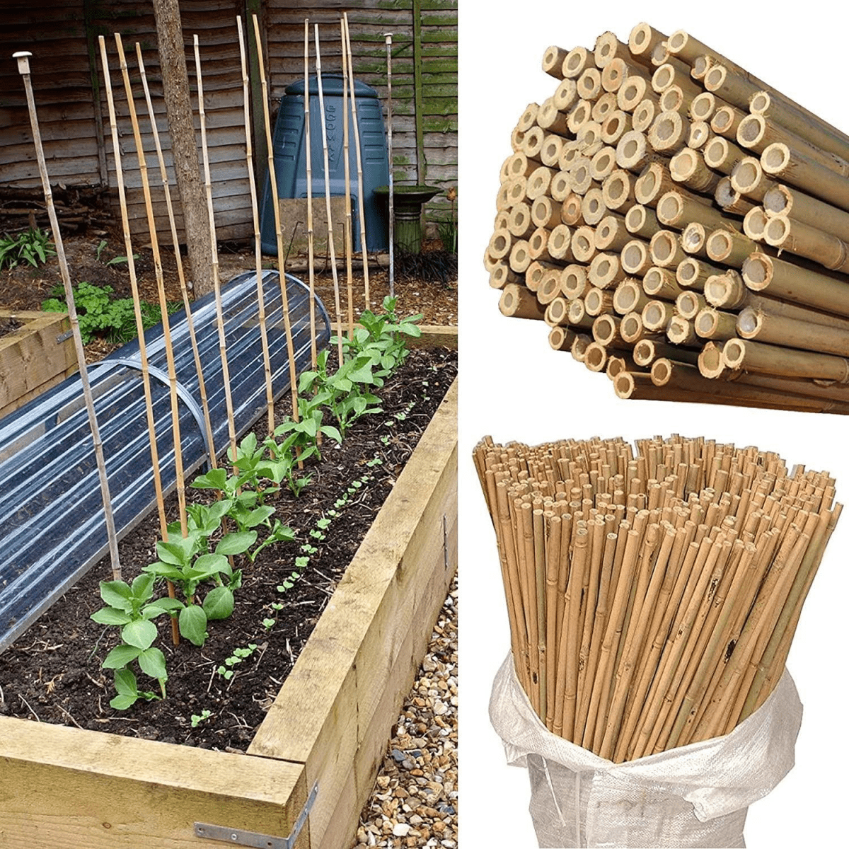 10 x 4FT Bamboo Canes Sticks 120cm - plants - express.com