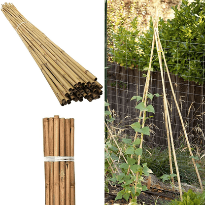 10 x 4FT Bamboo Canes Sticks 120cm - plants - express.com
