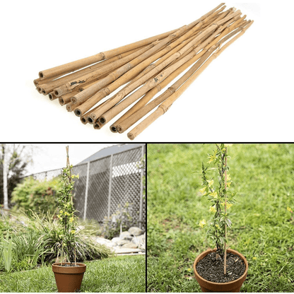10 x 4FT Bamboo Canes Sticks 120cm - plants - express.com