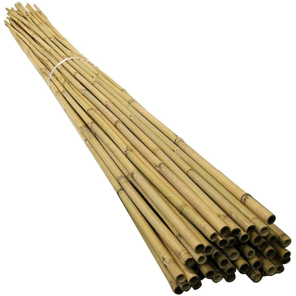 10 x 4FT Bamboo Canes Sticks 120cm - plants - express.com