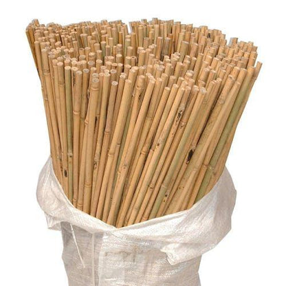 10 x 5FT Bamboo Canes 150 CM - plants - express.com