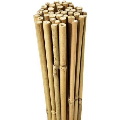10 x 5FT Bamboo Canes 150 CM - plants - express.com