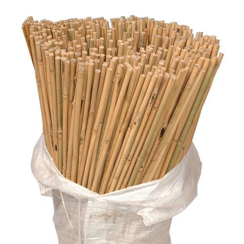 10 x 6FT (180cm) Bamboo Canes - plants - express.com