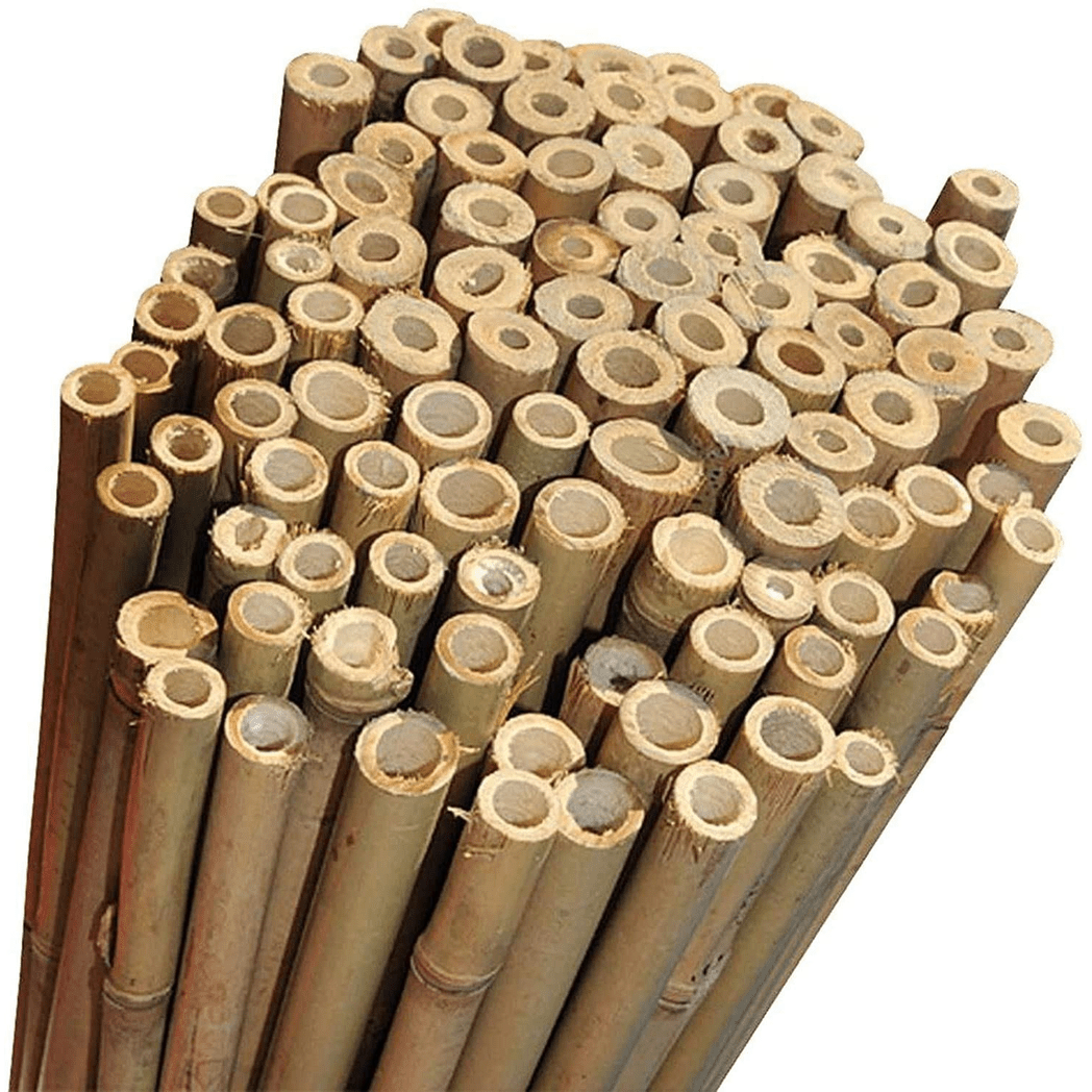 10 x 6FT (180cm) Bamboo Canes - plants - express.com