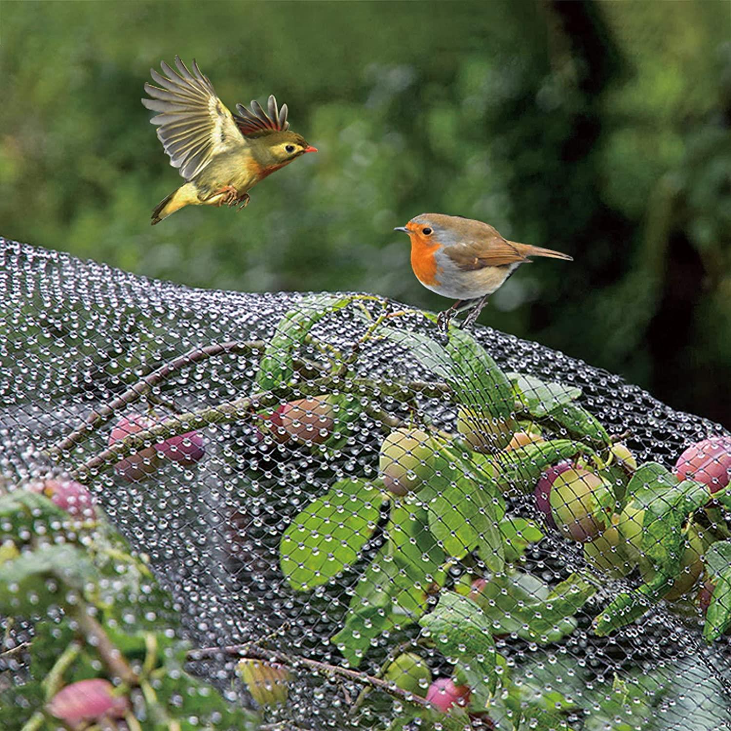 10 X GARDEN NETTING 2M X 10M - plants - express.com